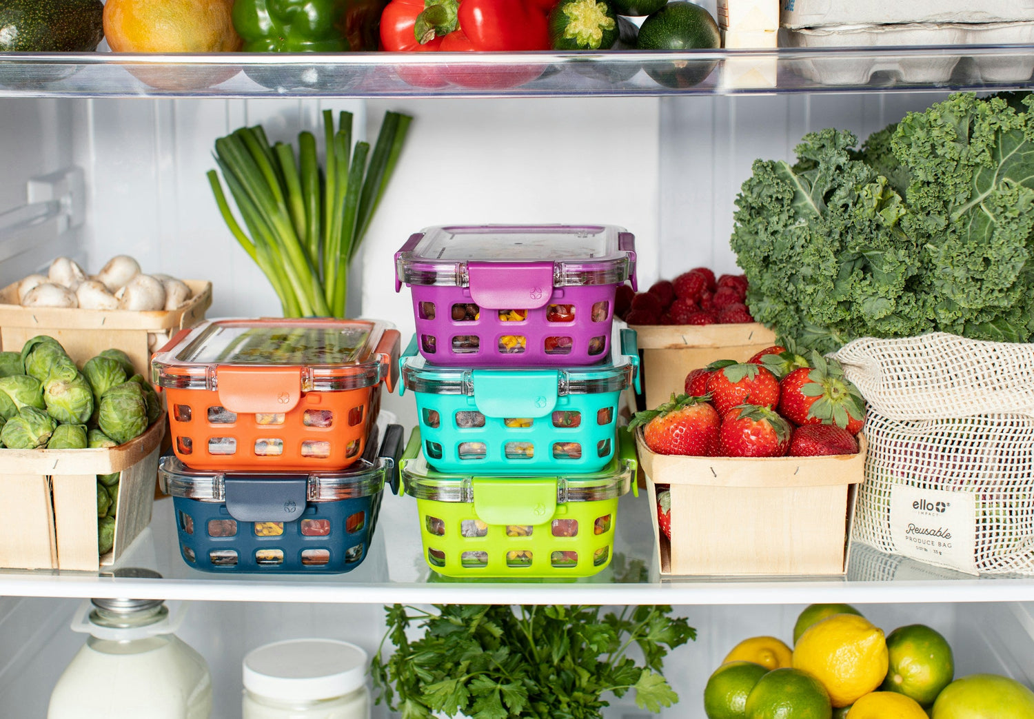 Food Storage & Organization