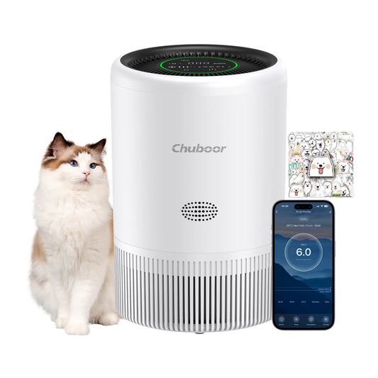 Chuboor HEPA Air Purifier For Bedroom With App Control